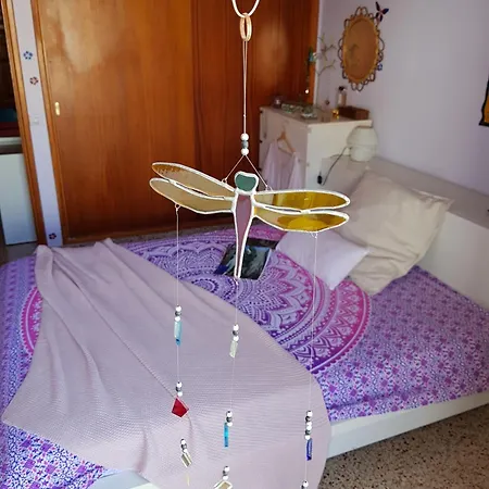 The Magic Dragonfly! Santa Cruz de Tenerife