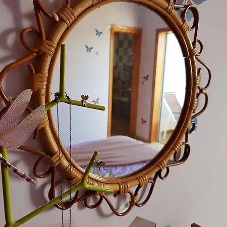 Guest house The Magic Dragonfly! Santa Cruz de Tenerife
