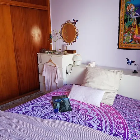 The Magic Dragonfly! Guest house