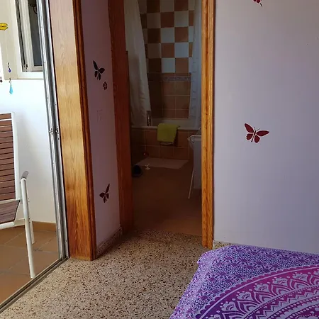 The Magic Dragonfly!