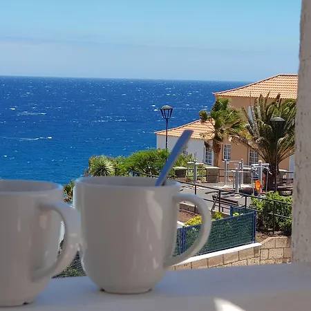 The Magic Dragonfly! 3* Santa Cruz de Tenerife