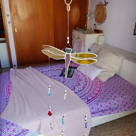 The Magic Dragonfly Santa Cruz de Tenerife