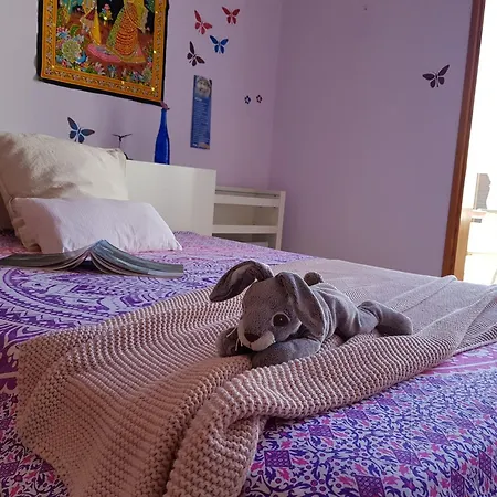 The Magic Dragonfly Casa de hóspedes 3*