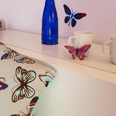 Casa de hóspedes The Magic Dragonfly