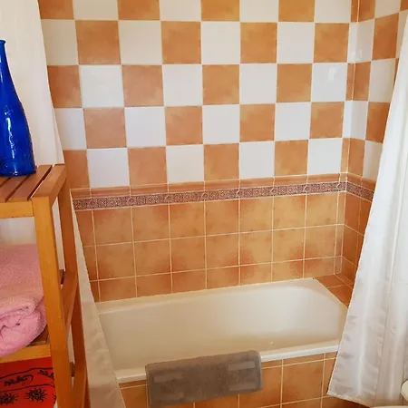 The Magic Dragonfly Santa Cruz de Tenerife